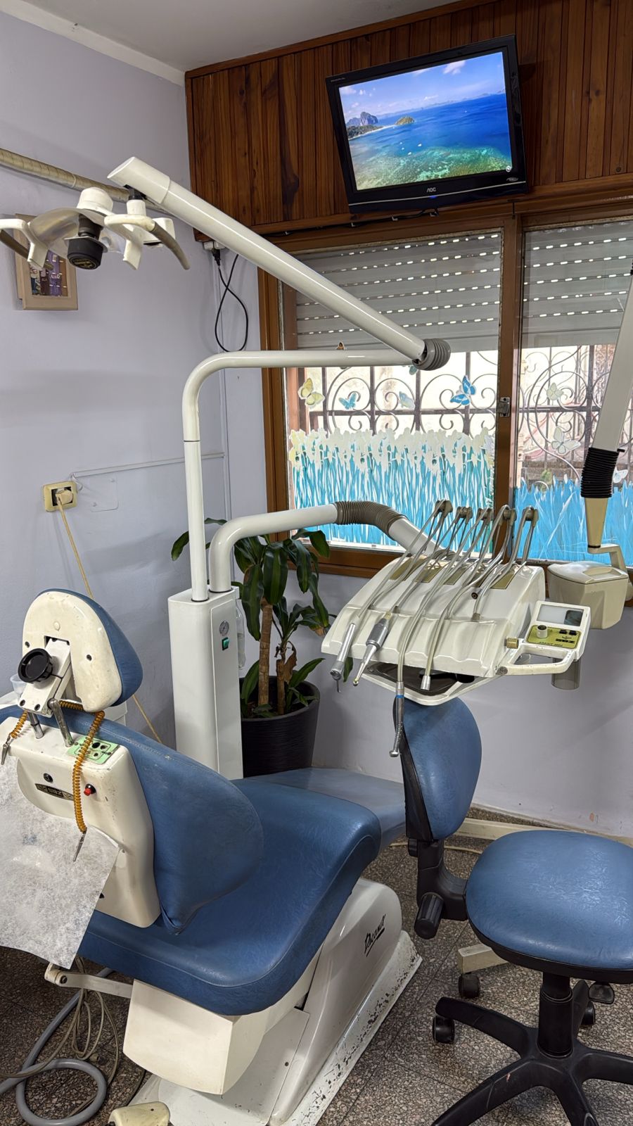 Consultorio principal con sillón odontológico azul, lámpara articulada y luz natural